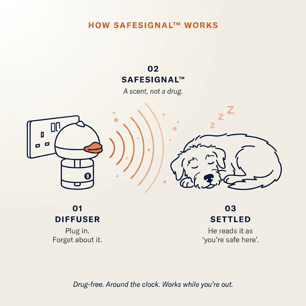 A signal, not a sedative.