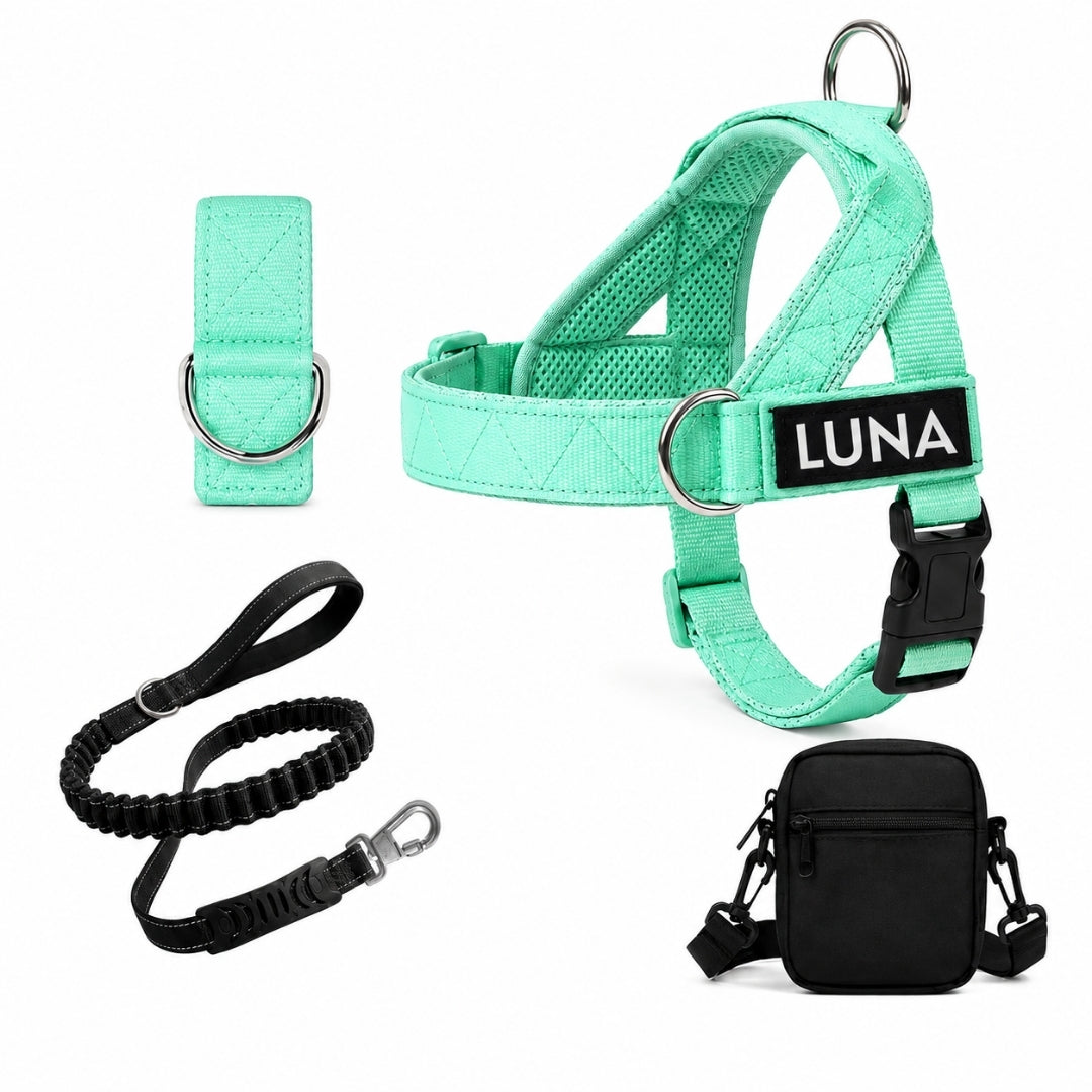 Dog Harness + FREE D-Ring