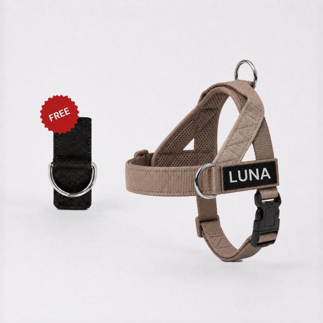Dog Harness + FREE D-Ring