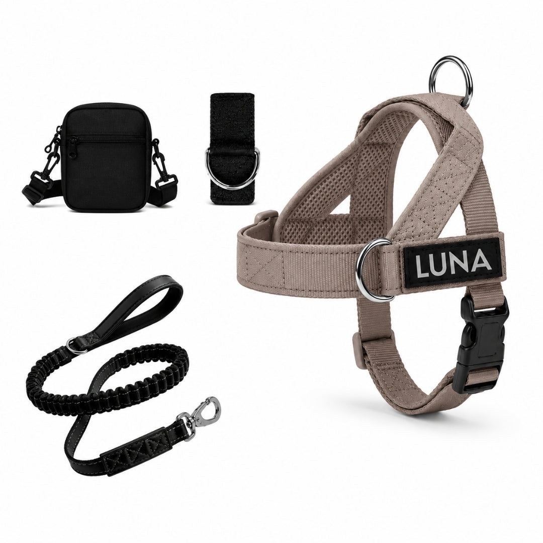 Dog Harness + FREE D-Ring