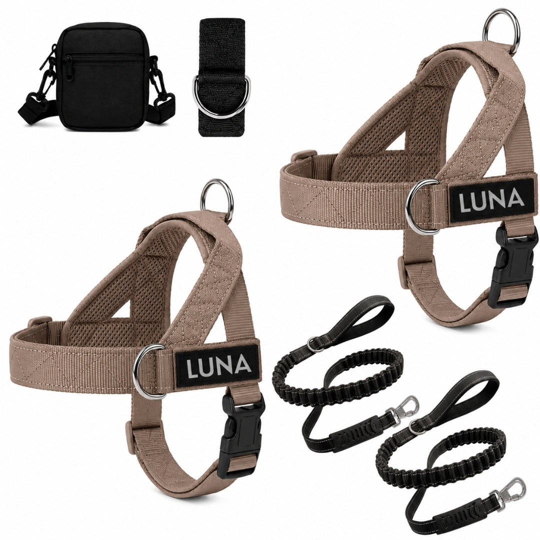 Dog Harness + FREE D-Ring