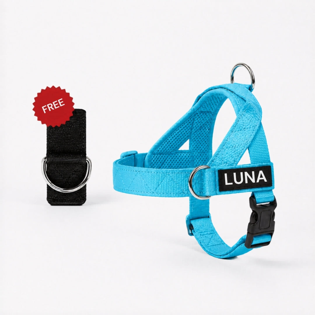 Dog Harness + FREE D-Ring