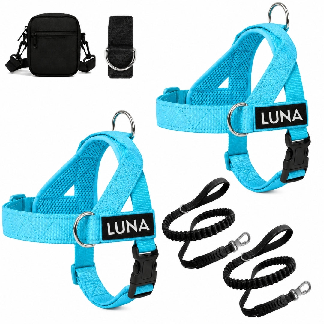 Dog Harness + FREE D-Ring