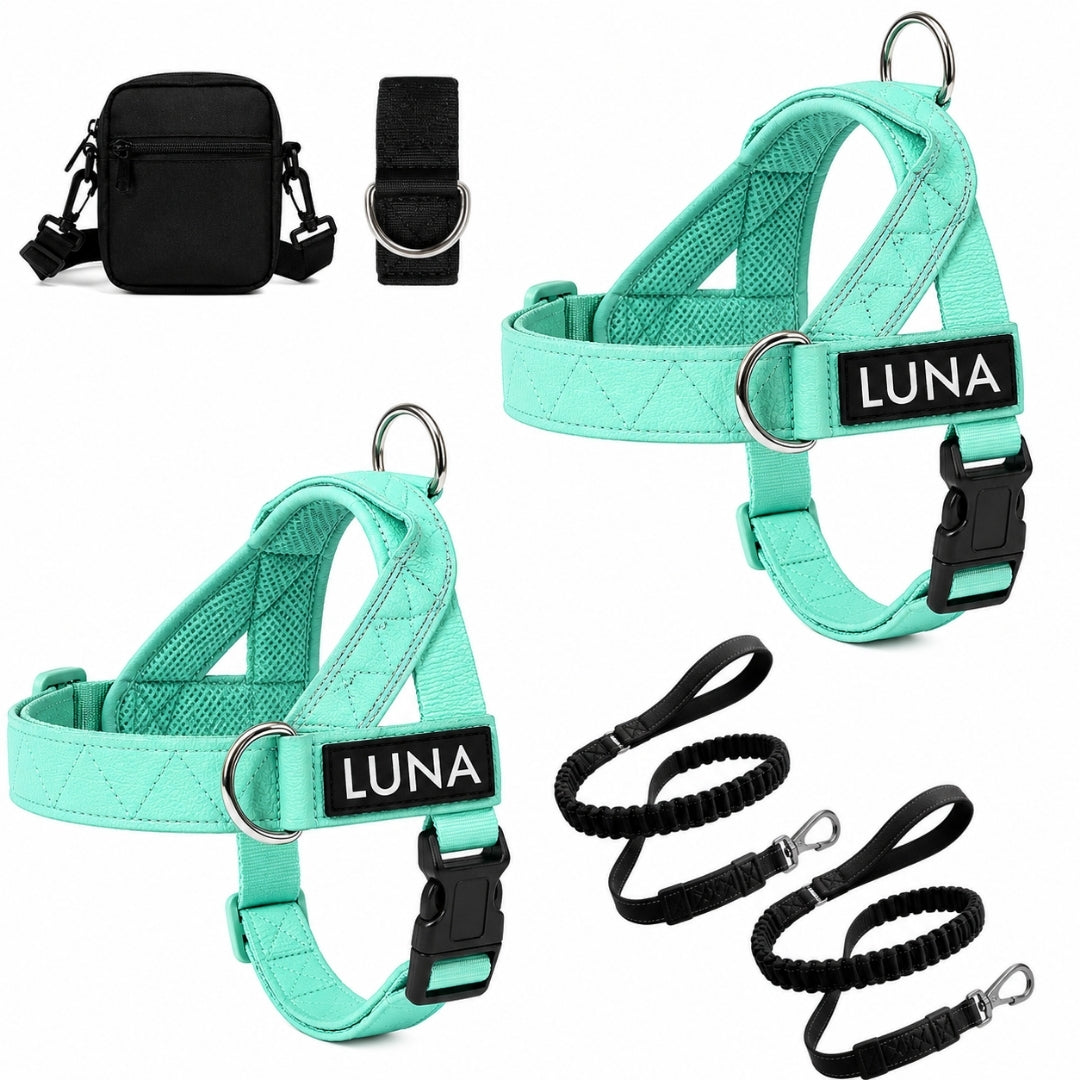 Dog Harness + FREE D-Ring