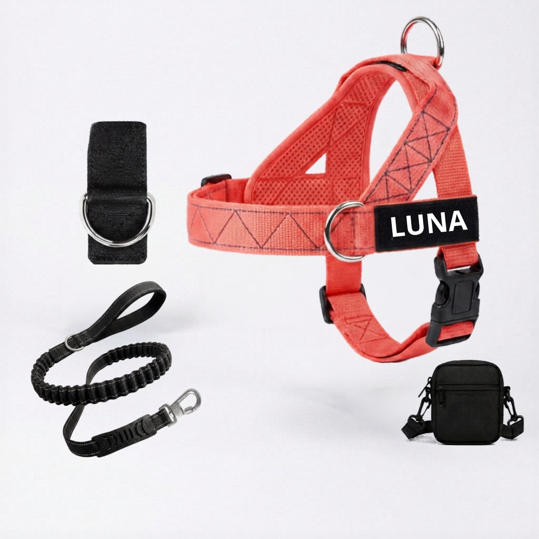 Dog Harness + FREE D-Ring