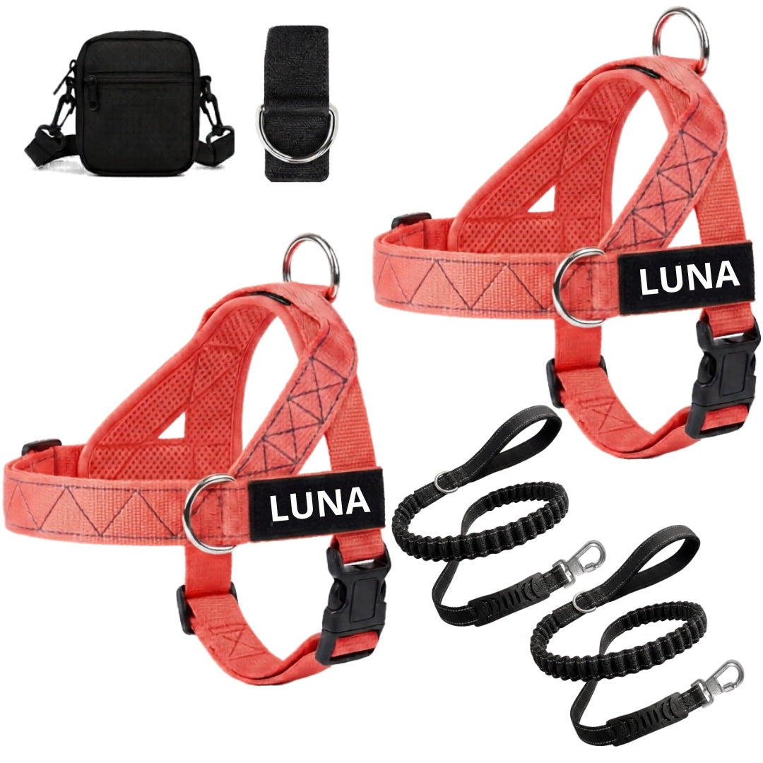 Dog Harness + FREE D-Ring