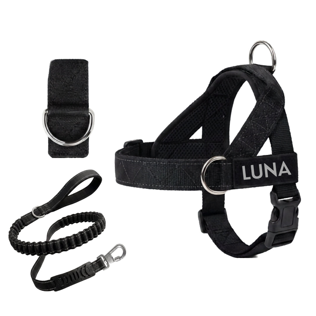 Dog Harness + FREE D-Ring