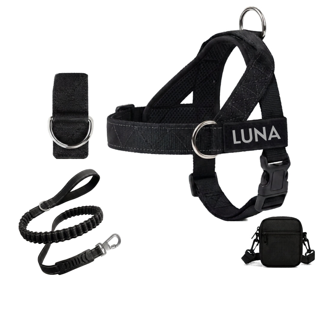 Dog Harness + FREE D-Ring