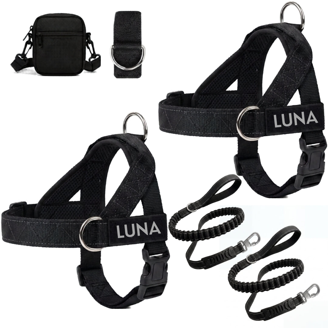 Dog Harness + FREE D-Ring