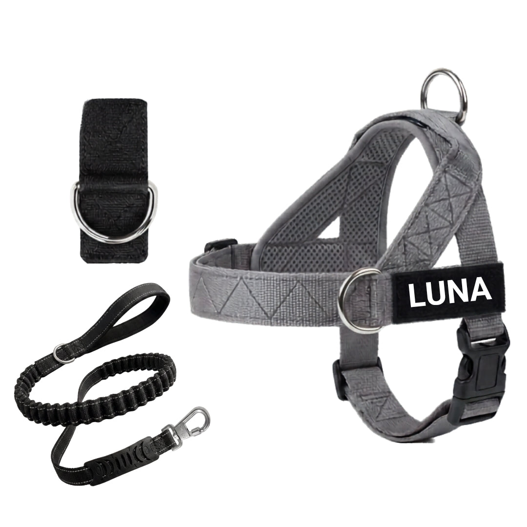 Dog Harness + FREE D-Ring