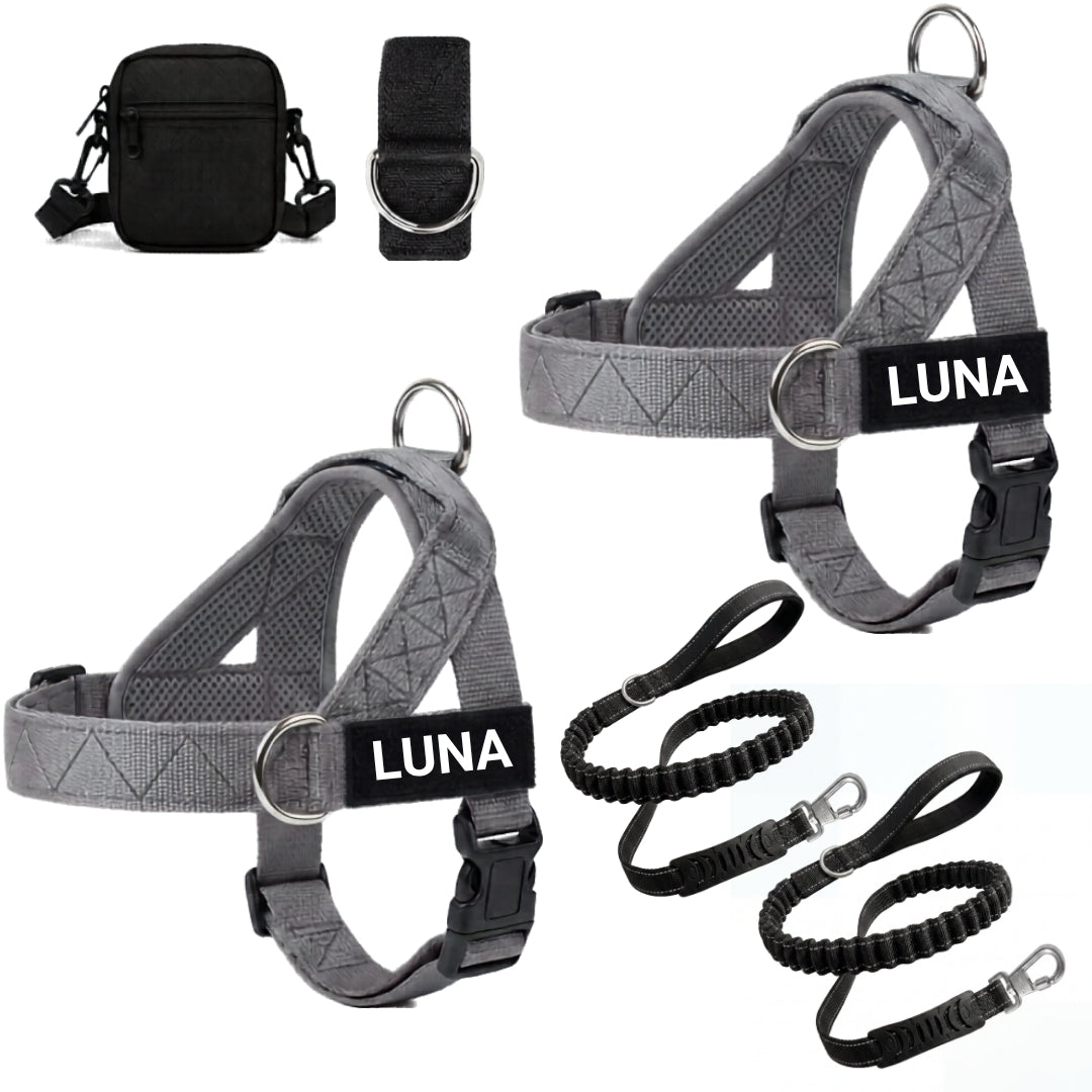 Dog Harness + FREE D-Ring