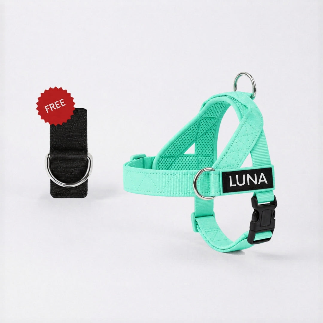Dog Harness + FREE D-Ring