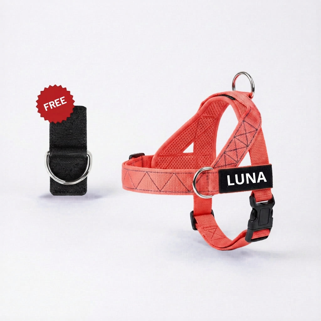 Dog Harness + FREE D-Ring