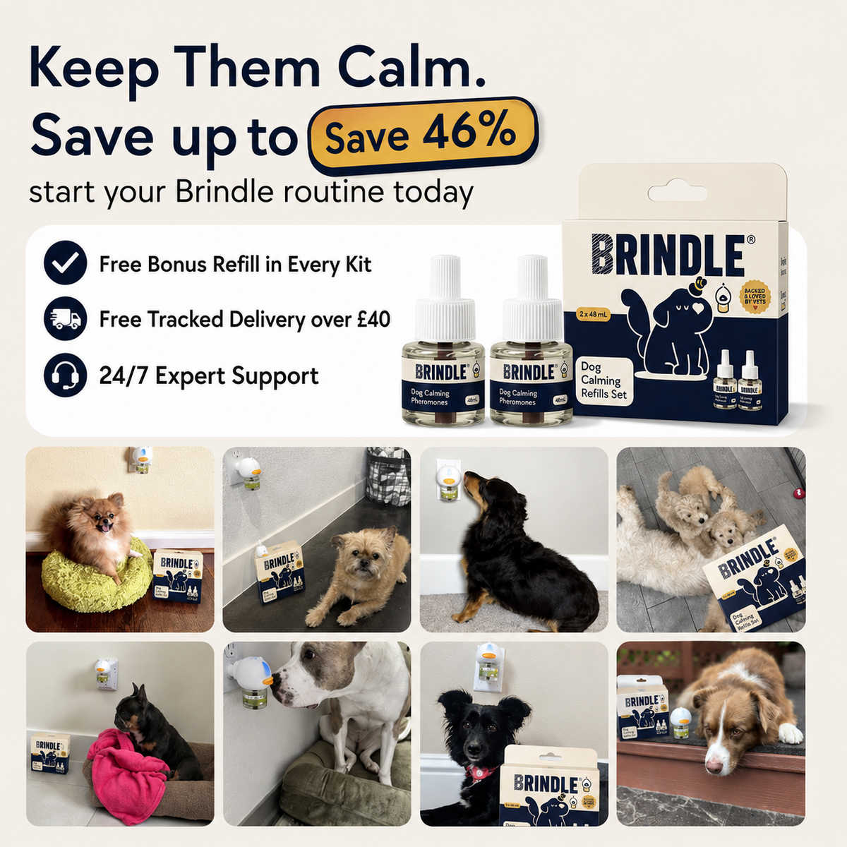 Brindle Calm — Dog Calming Diffuser Kit