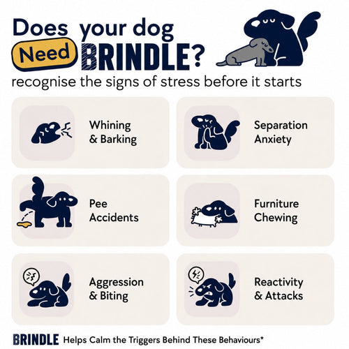 Brindle Calm — Dog Calming Diffuser Kit