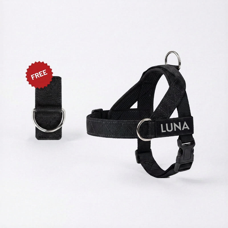 Harnesses