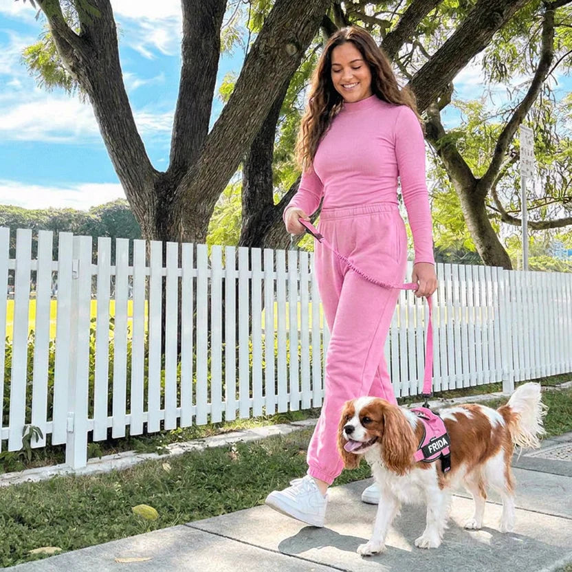 Woman walking a Cocker Spaniel on a UK pavement with a loose lead