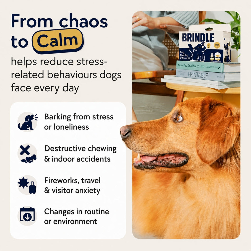 Brindle Calm — Dog Calming Diffuser Kit