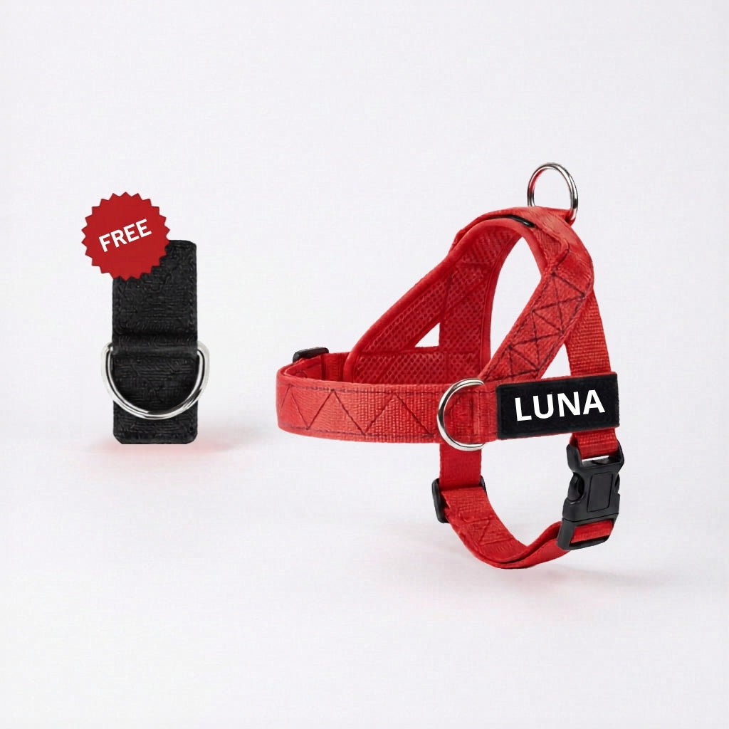 Dog Harness + FREE D-Ring