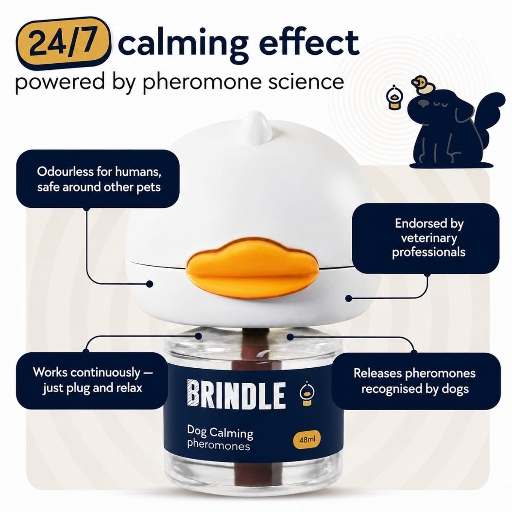 Brindle Calm — Dog Calming Diffuser Kit