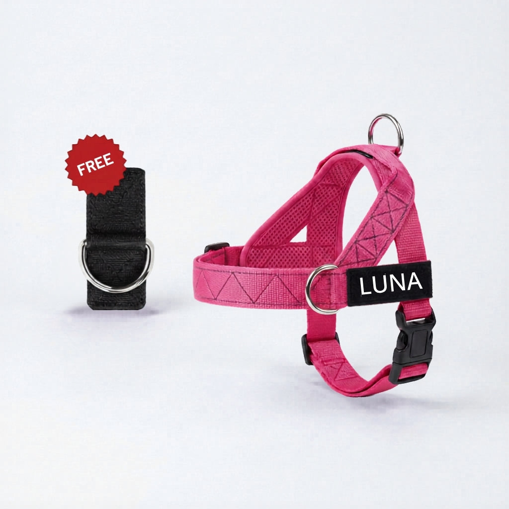 Dog Harness + FREE D-Ring